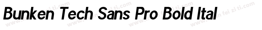 Bunken Tech Sans Pro Bold Italic字体转换